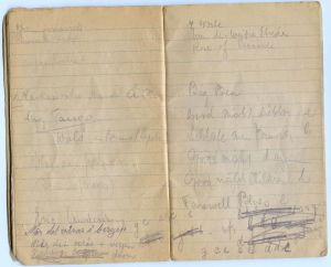 Rosie's notes on the cabaret she helped organize at the reception center in Sweden, 1945